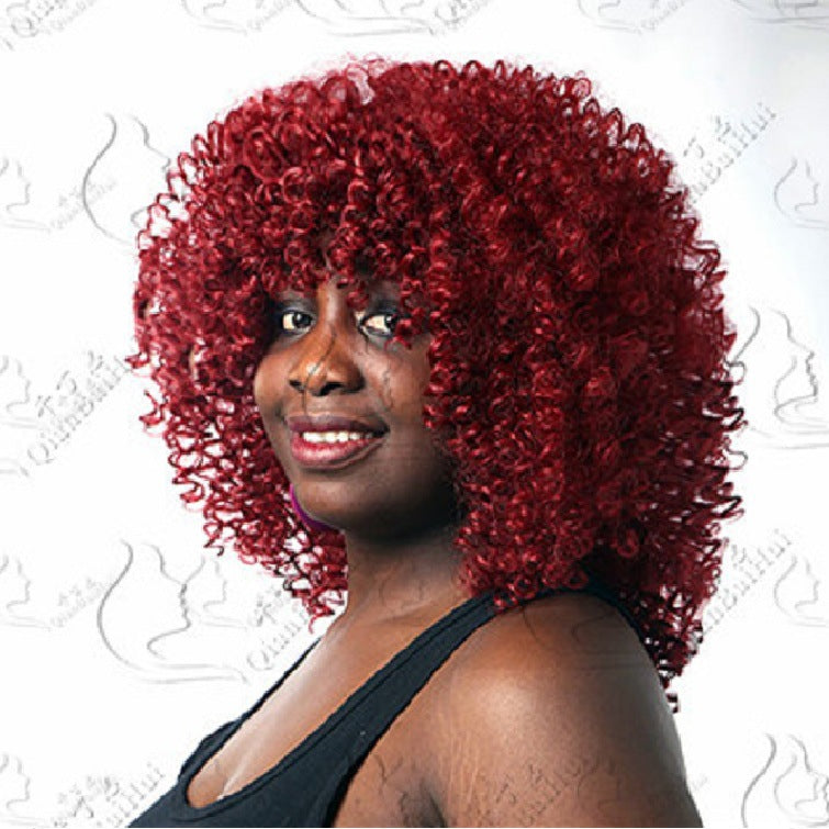 Afro Wig African Women Wigs With Small Curly Hair Wig
