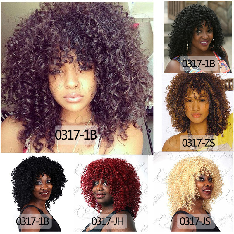 Afro Wig African Women Wigs With Small Curly Hair Wig