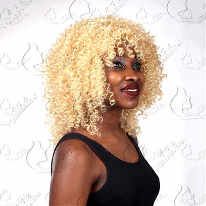 Afro Wig African Women Wigs With Small Curly Hair Wig