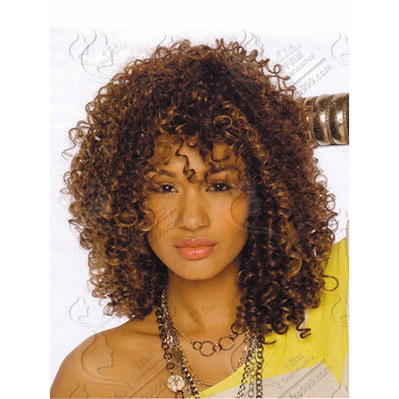 Afro Wig African Women Wigs With Small Curly Hair Wig