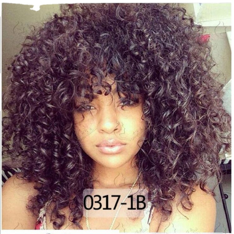 Afro Wig African Women Wigs With Small Curly Hair Wig