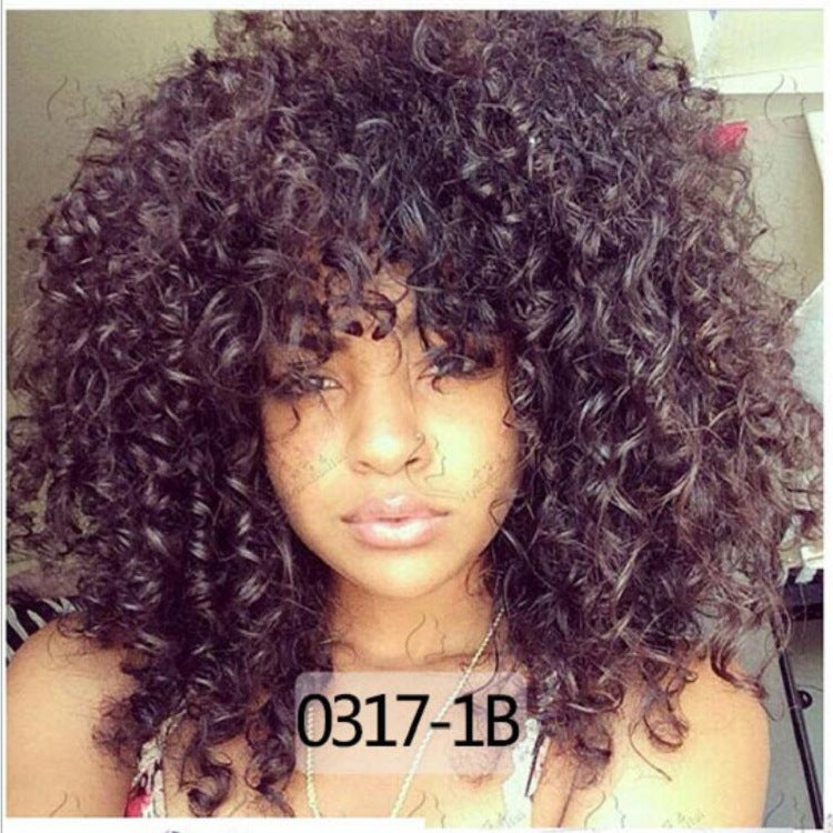 Afro Wig African Women Wigs With Small Curly Hair Wig
